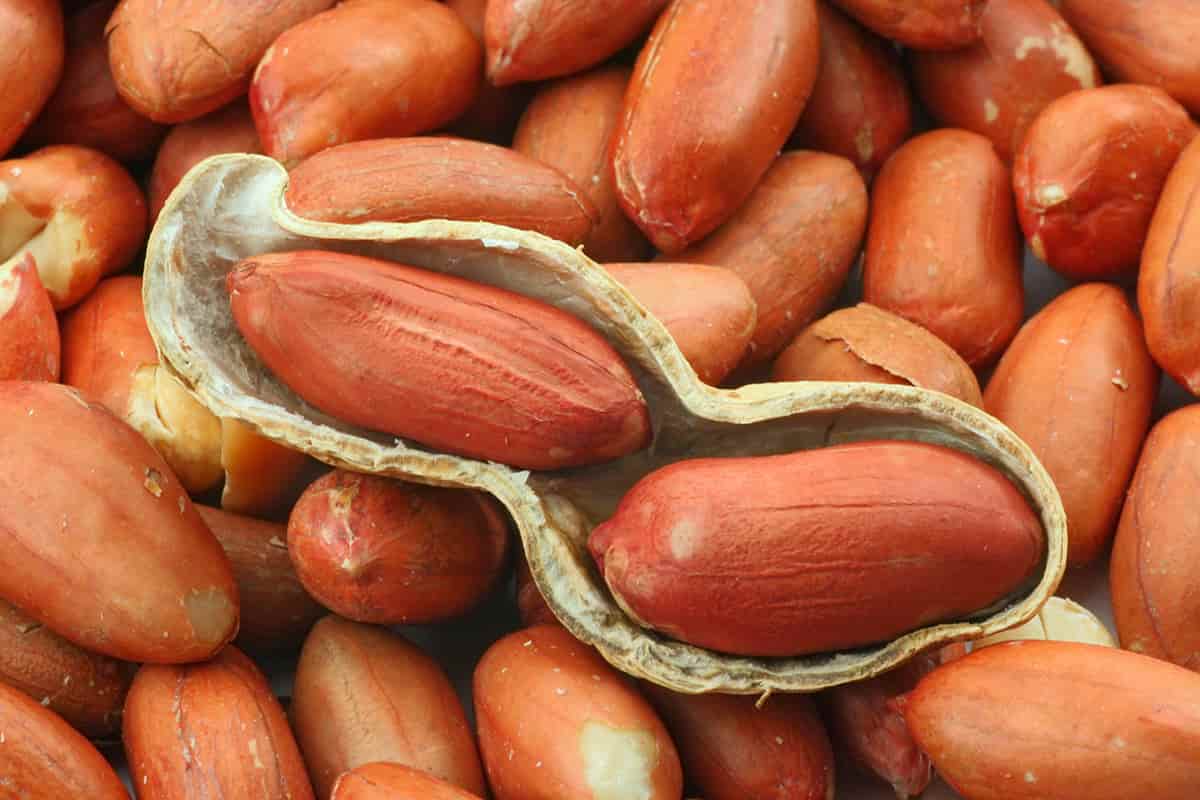 red skin peanut nutritional value
