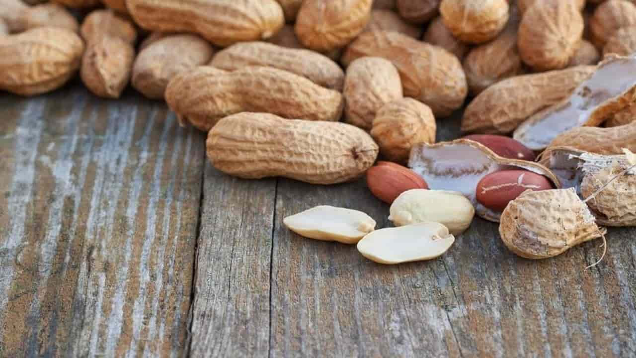red skin peanut calories