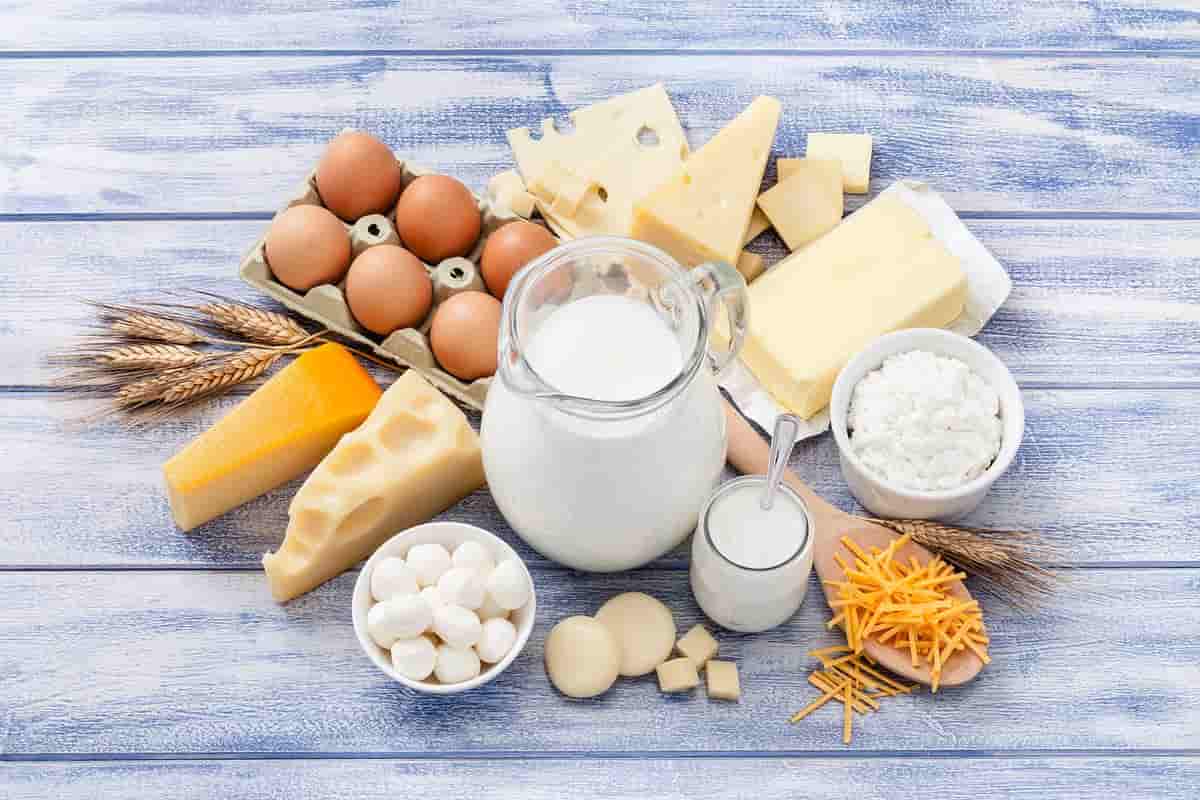dairy products list