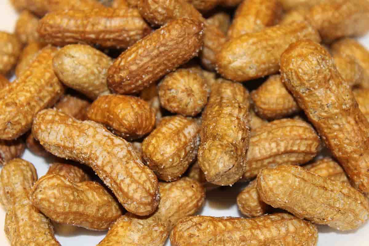 What is peanut kernel