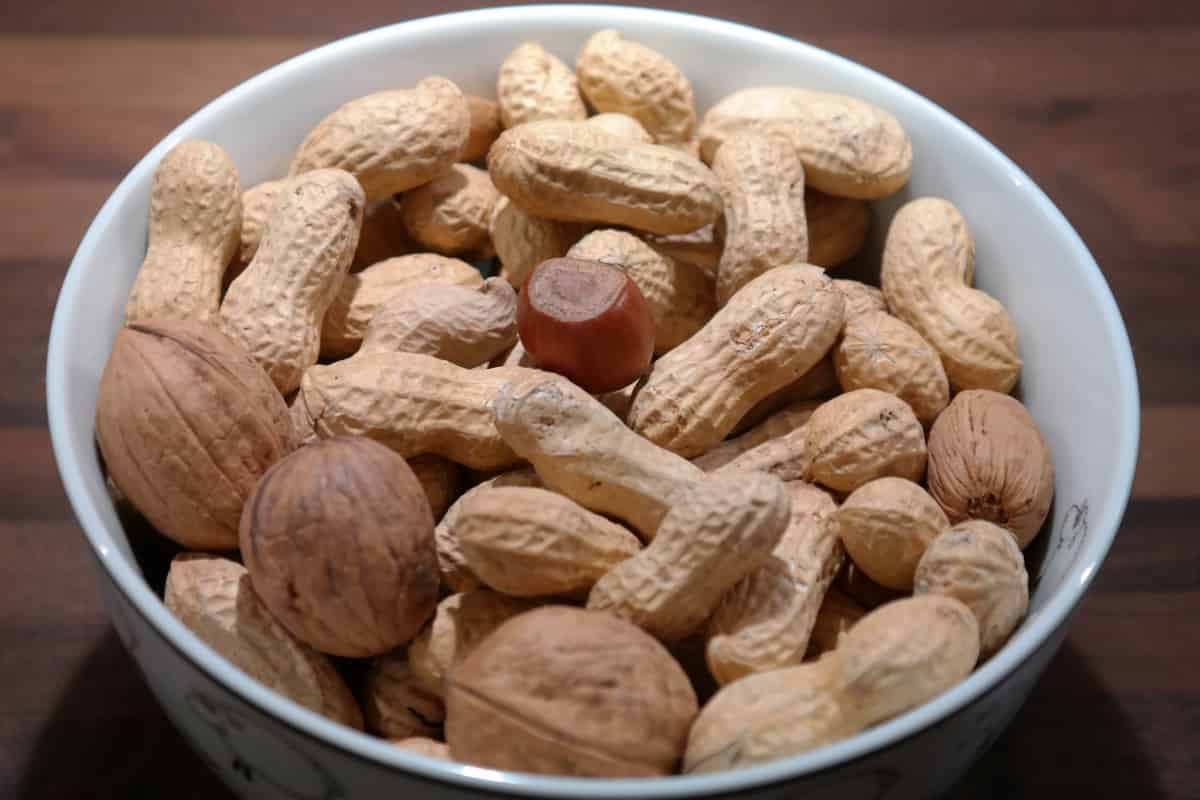peanut kernels for birds