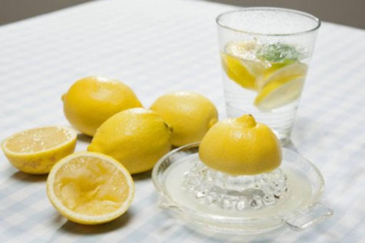 sour lemon plant