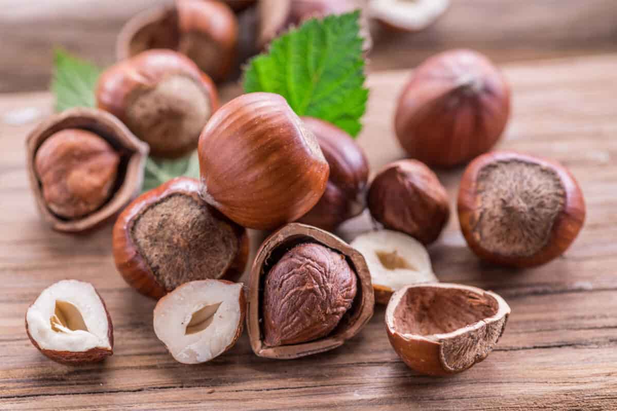 benefits of hazelnuts for skin