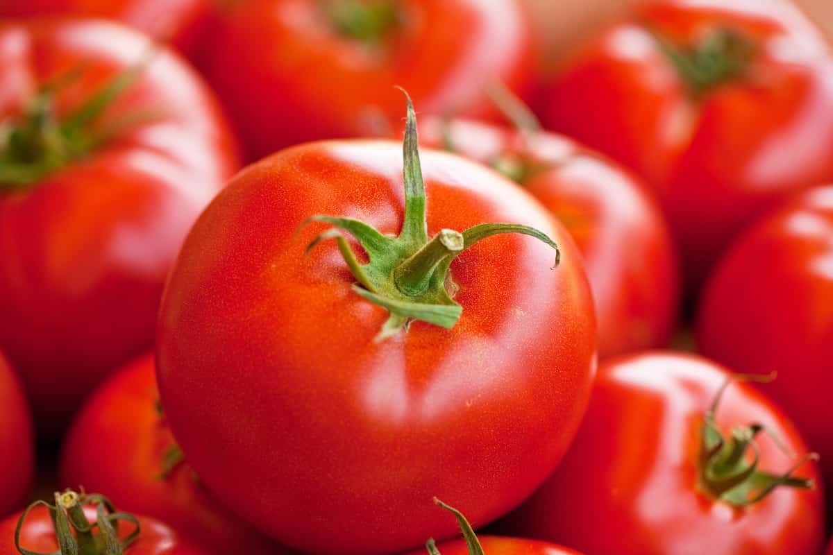best tomato juice for health