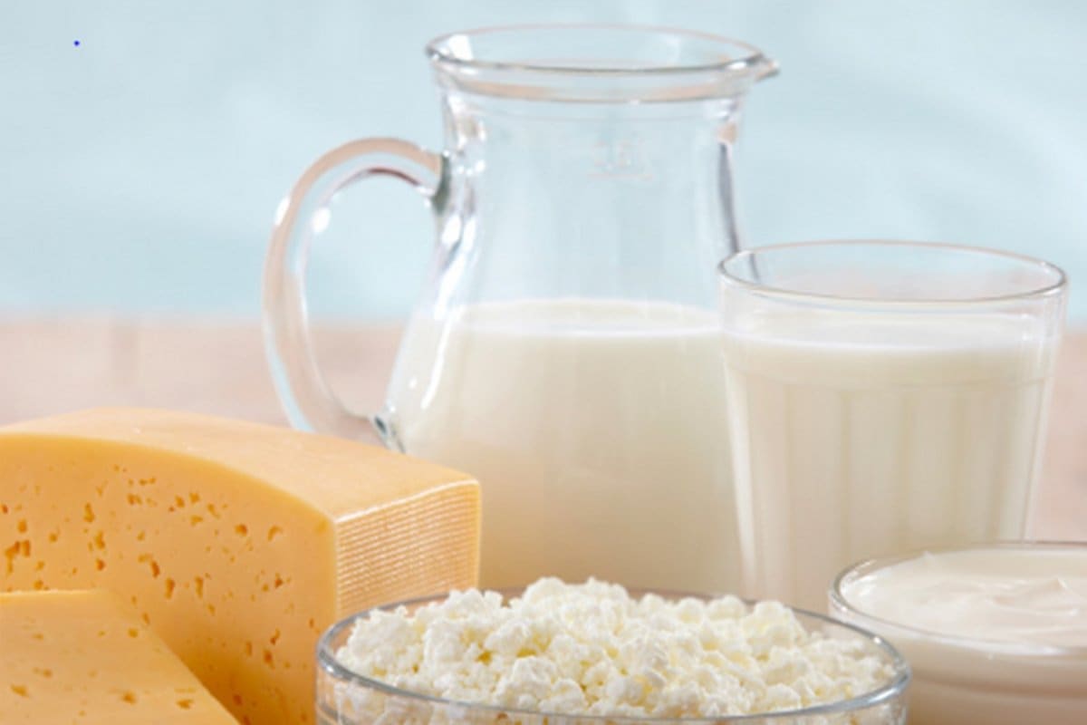 top 10 dairy products