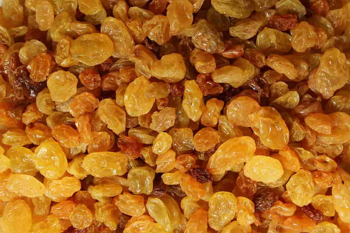golden raisins nutrition facts 100g