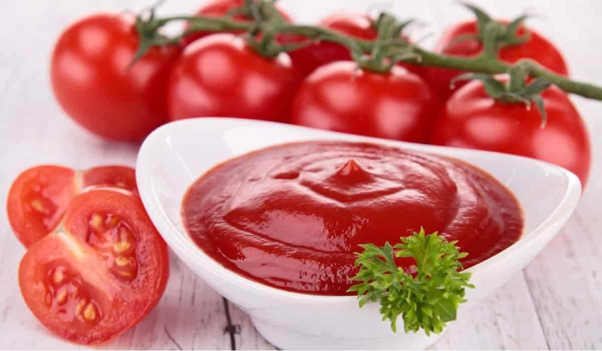 Tomato sauce different types