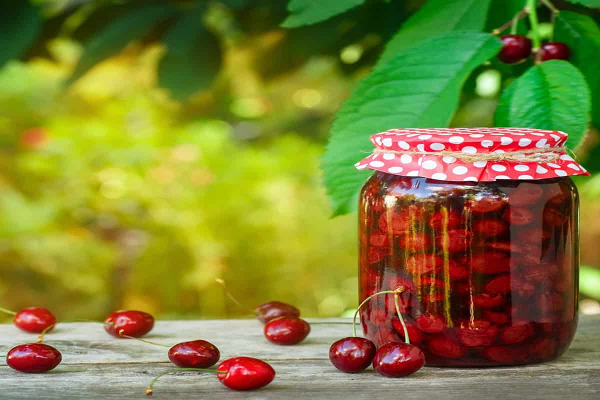 canned cherries recipe