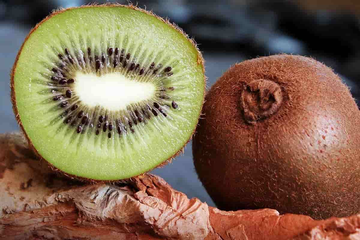 golden kiwi weight loss