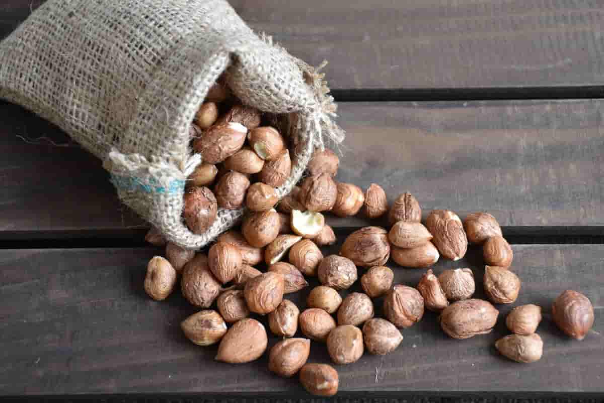 Hazelnut kernels benefits