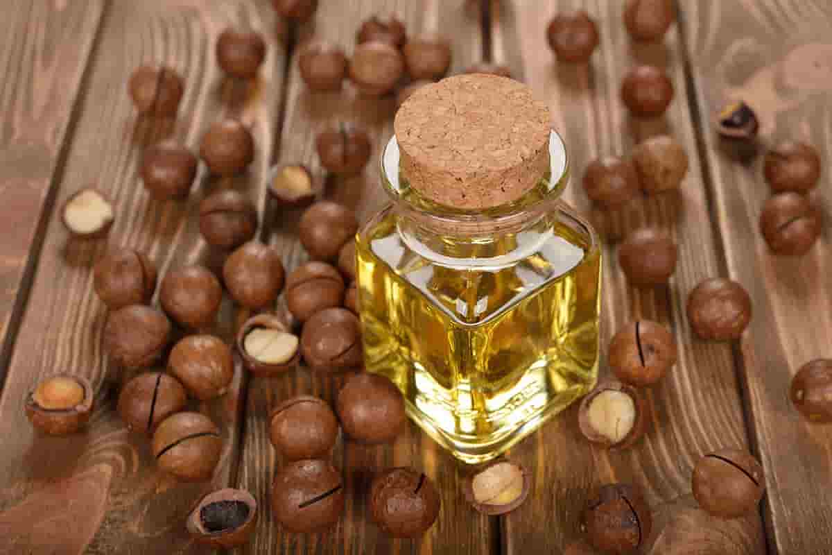 Hazelnuts oil benefits