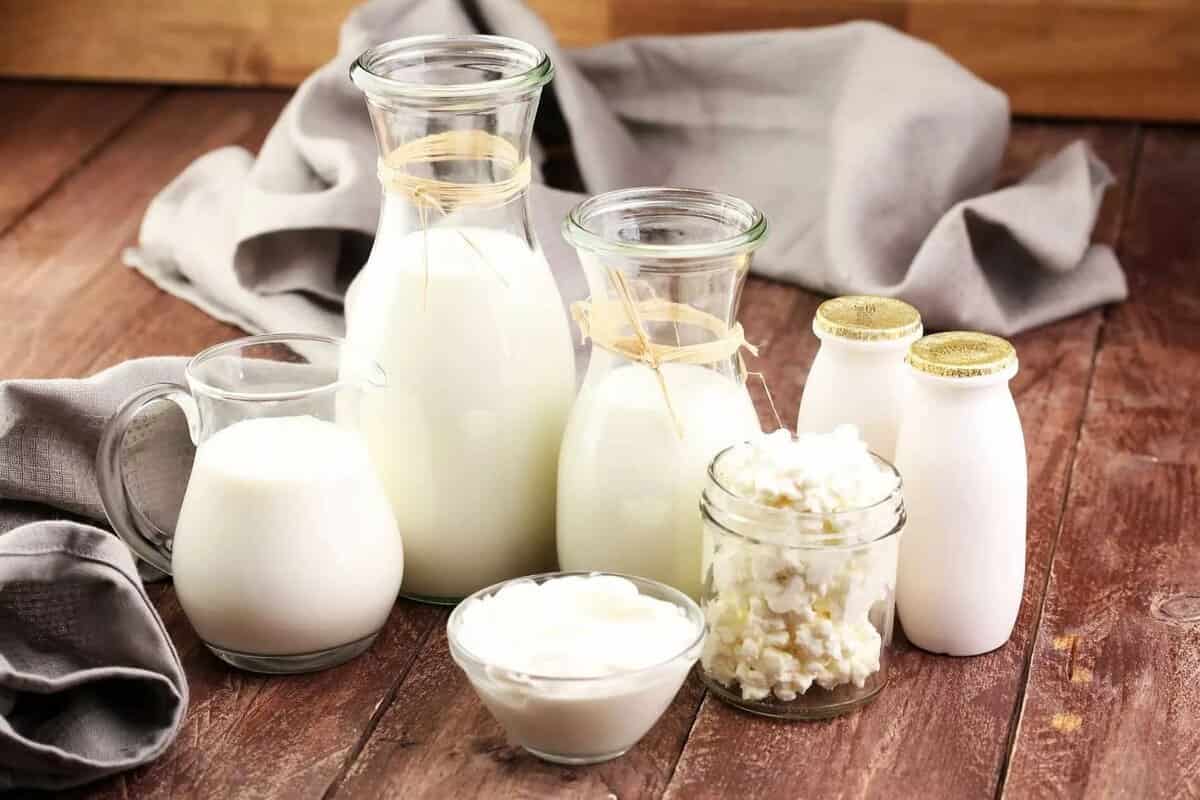Main types of dairy product