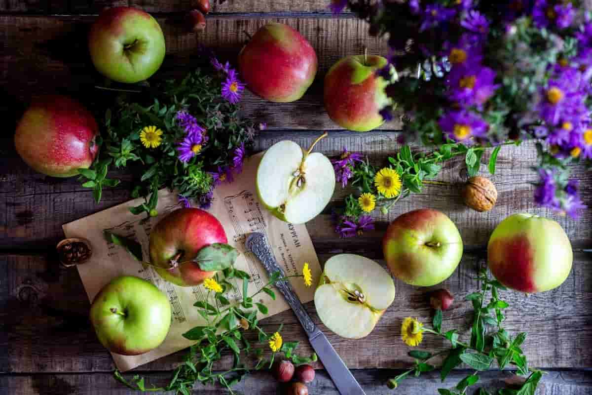 apple fruit cultivation