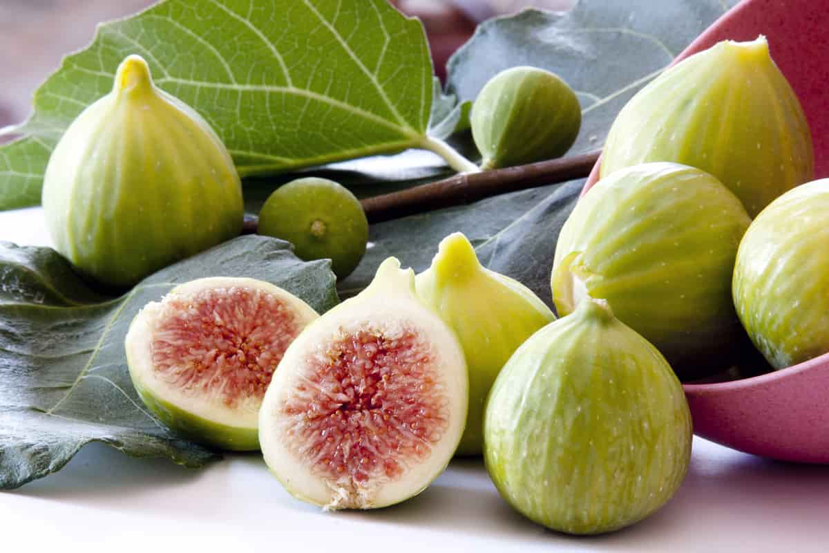 dried smyrna fig benefits