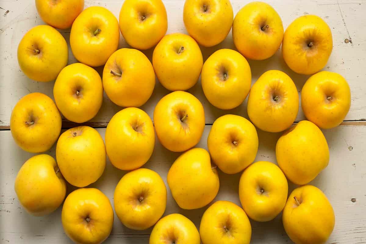 Yellow Honeycrisp apples