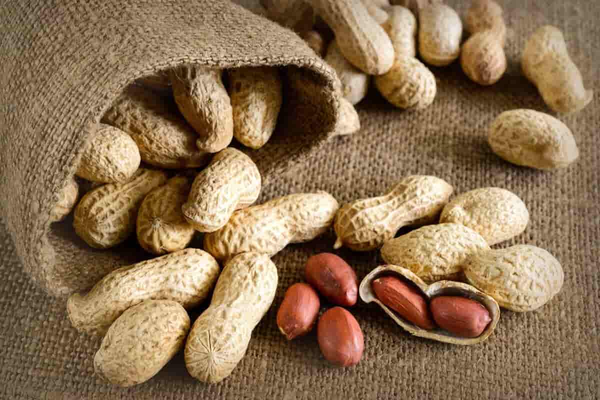 peanut shell nutrition