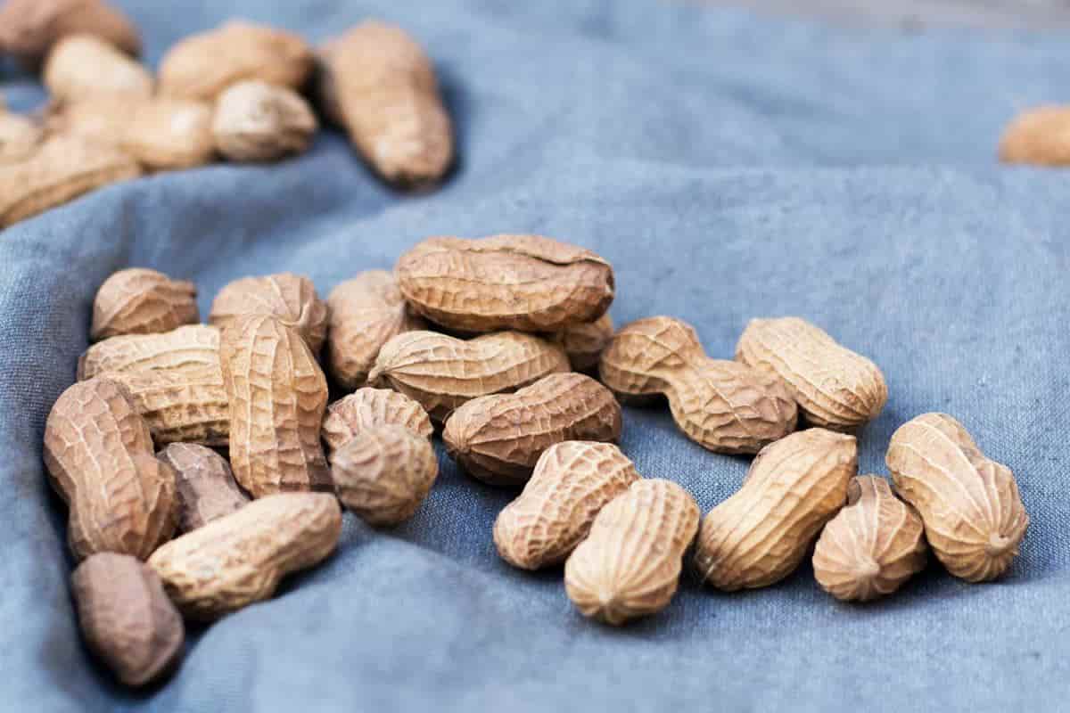 Sweet peanuts RECIPE