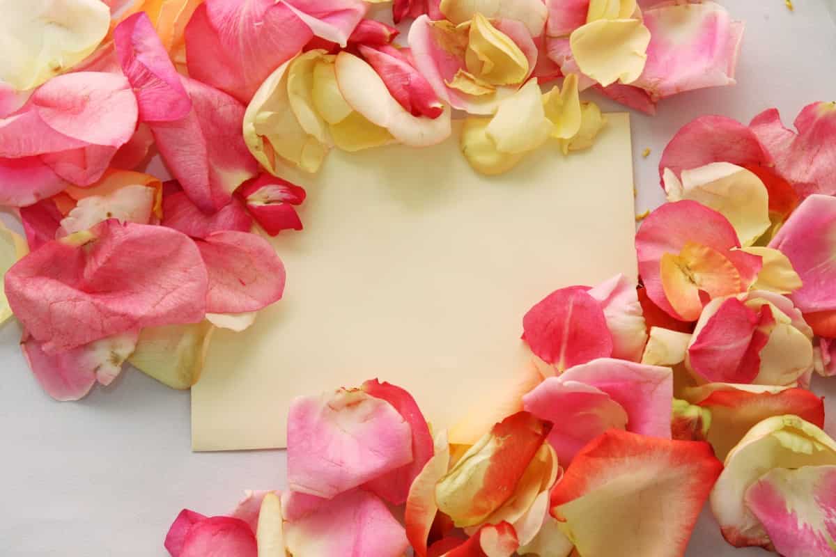 rose petals decoration table