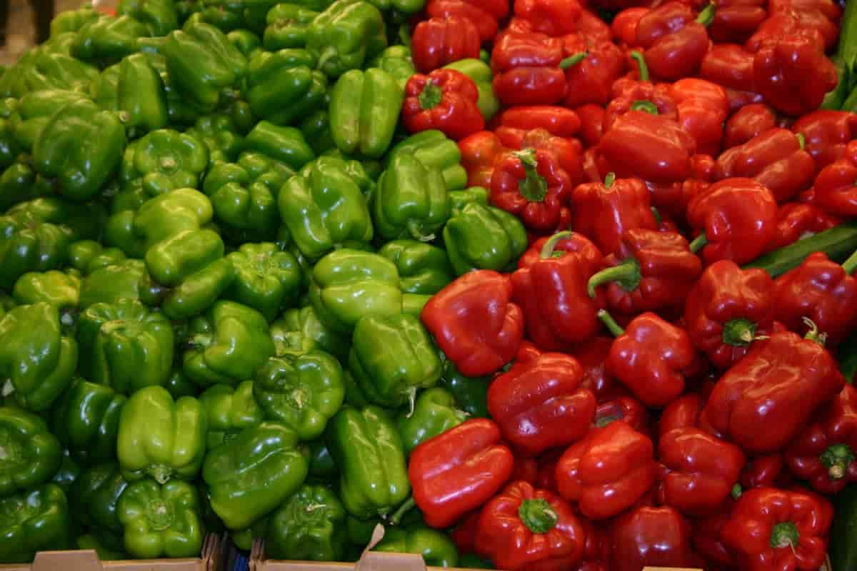 Bell pepper calories