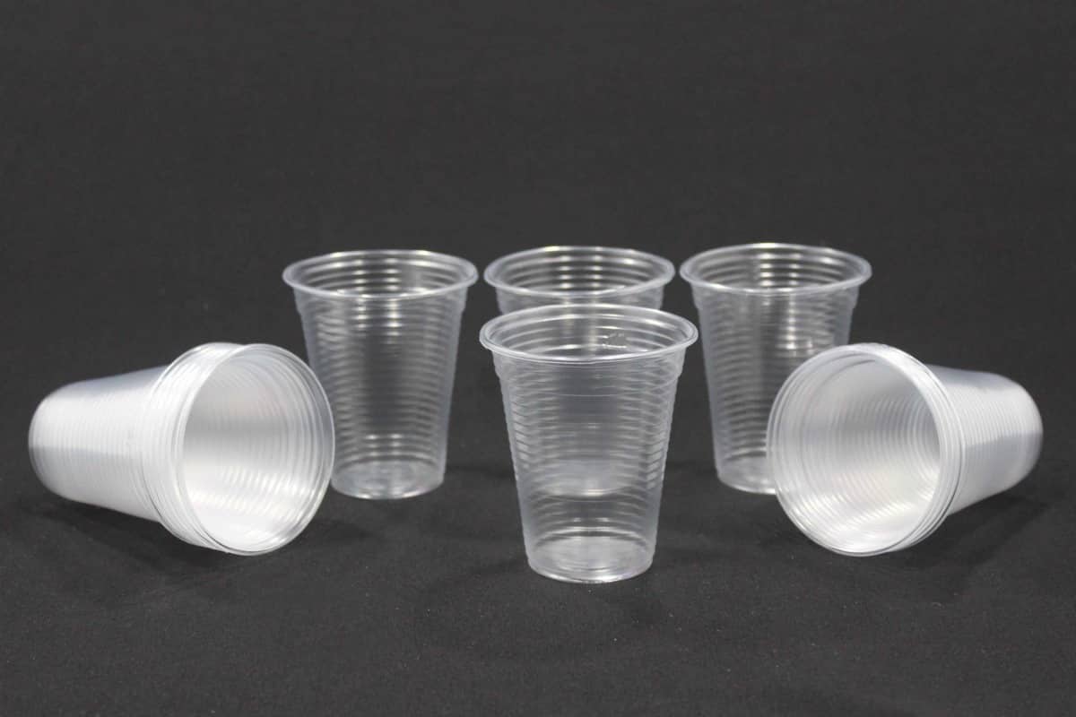 disposable cup price