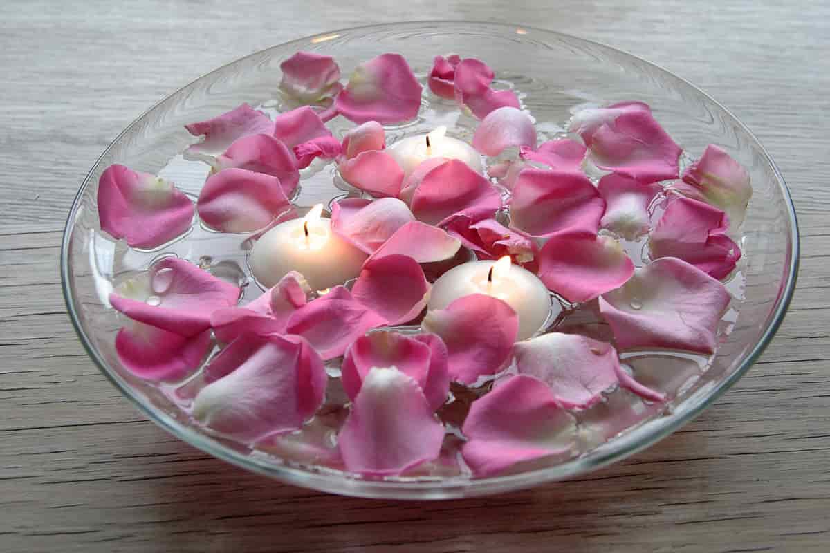 Fresh rose petals decoration