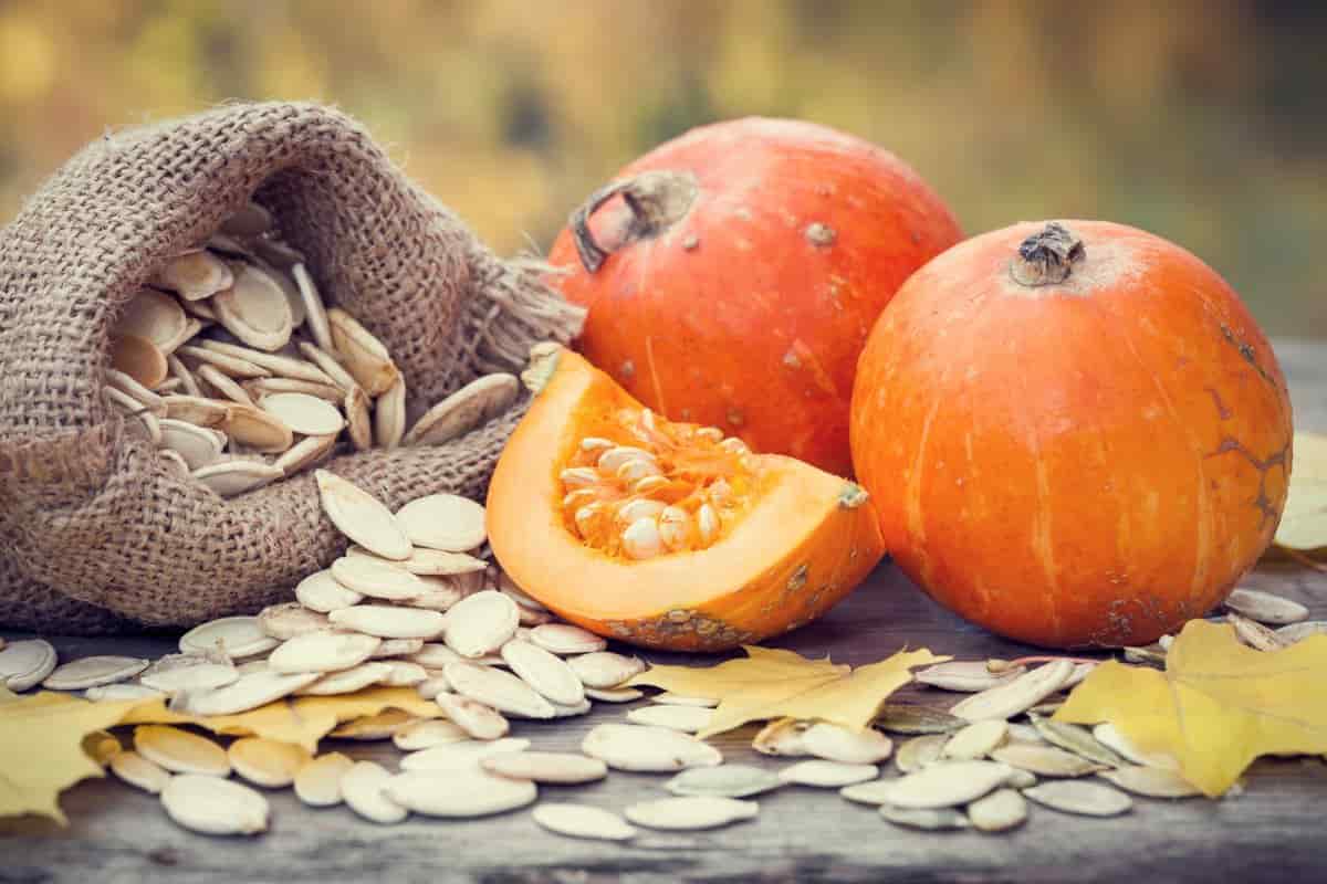 pumpkin seeds calories