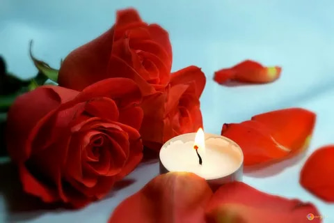 Rose petals and candles ideas