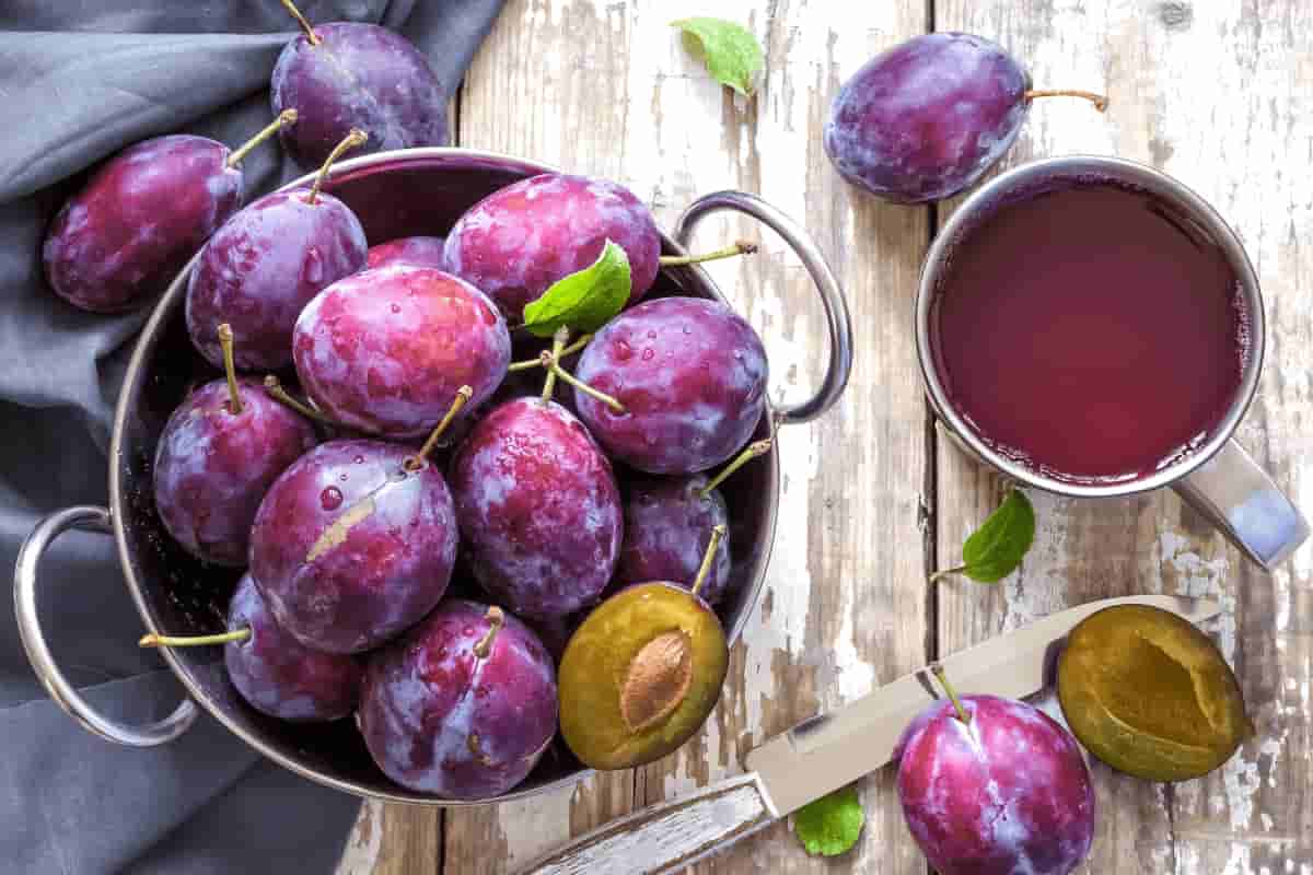 plum fruit images
