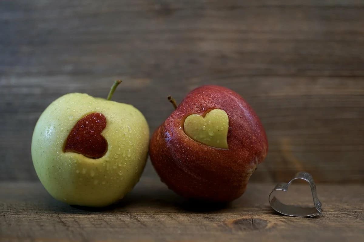 Apple fruit culvitation