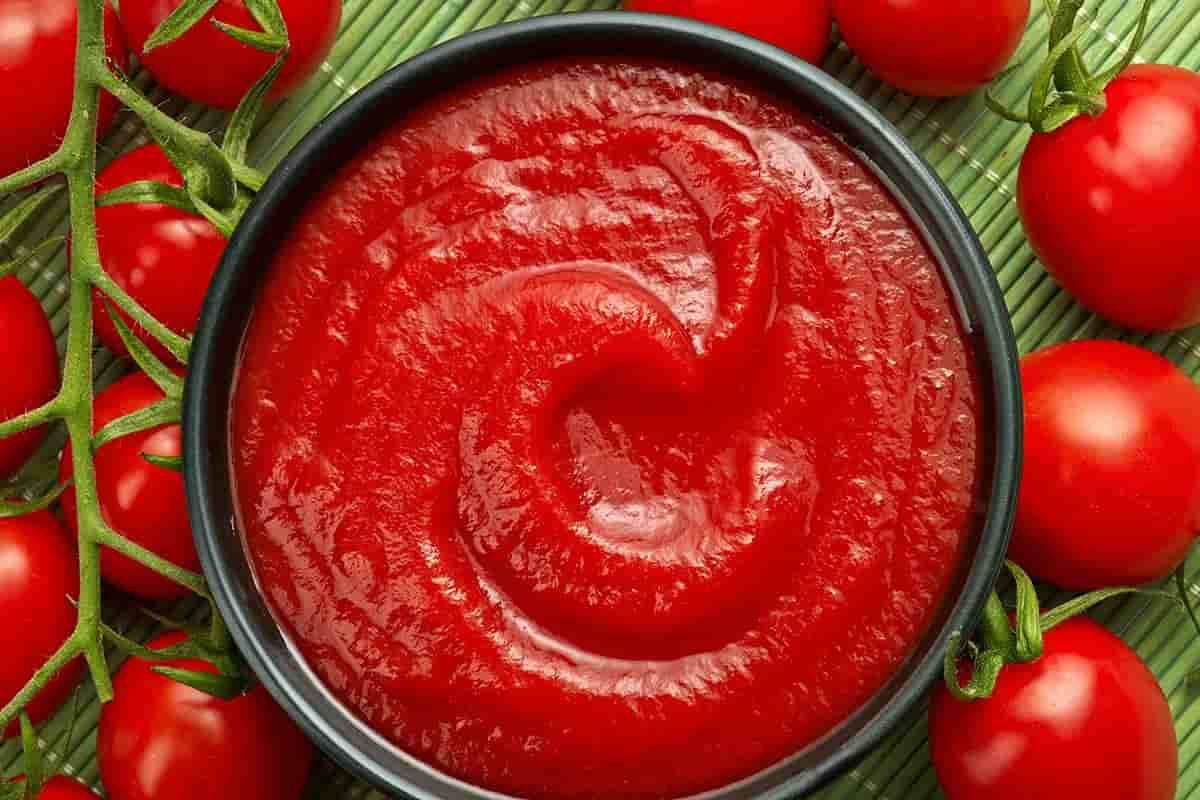 tomato paste lectins