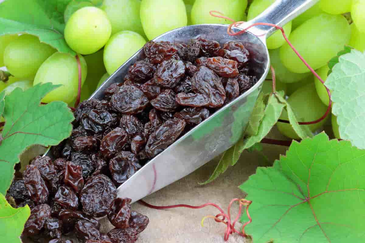 Different types of black raisins
