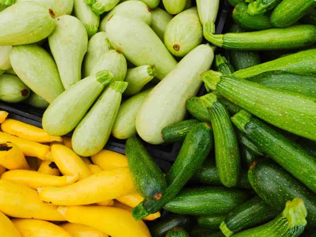 The benefits of zucchini