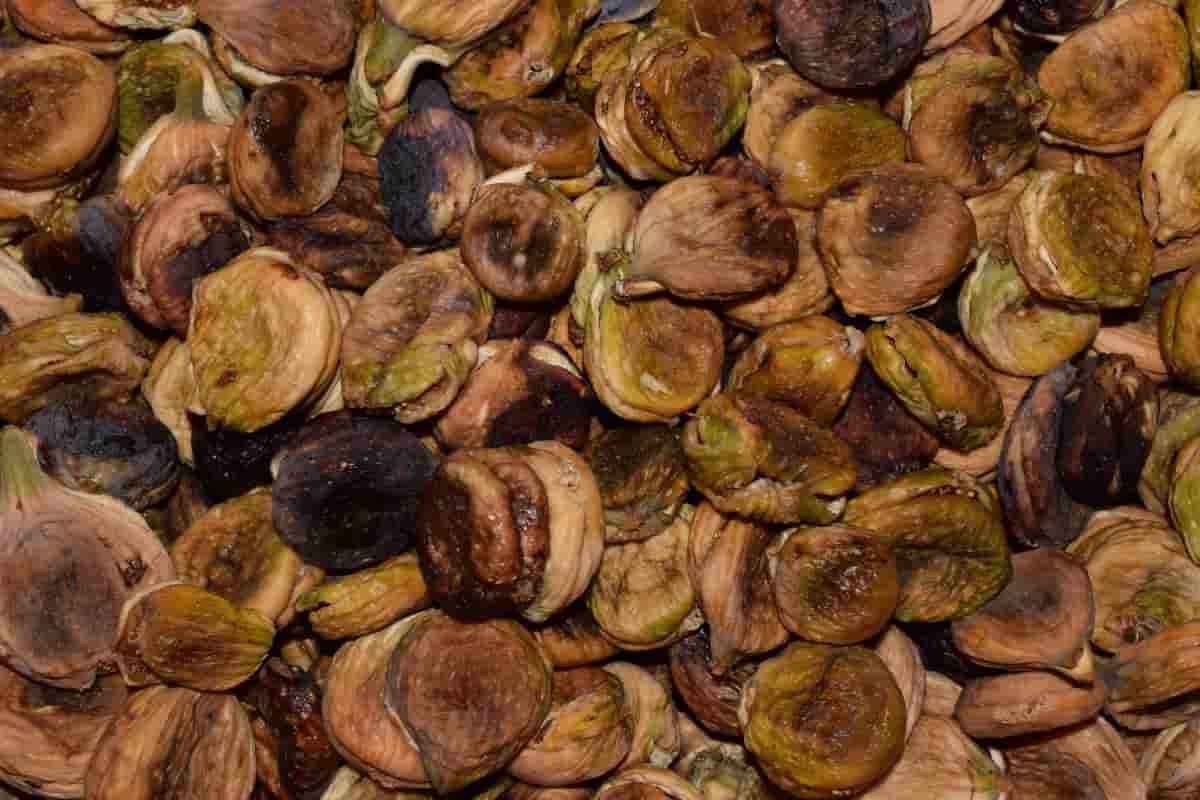 dried figs benefits for male