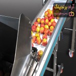 خرید سورتینگ میوه دست دوم با قیمت استثنایی
