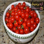 بهترین قیمت خرید گوجه گیلاسی رنگی در تهران