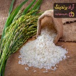 برنج لنجان چیست؟ قیمت خرید