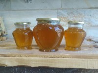 خرید عسل کتیرا طبیعی اصل + بهترین قیمت