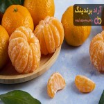 قیمت خرید نارنگی ساتسوما جنگلی + مشخصات، عمده ارزان