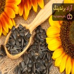 خرید و قیمت روز تخمه آفتابگردان اصفهان