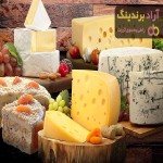 قیمت پنیر موزارلا قالبی + پخش تولیدی عمده کارخانه