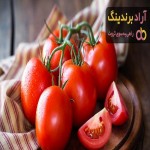 خرید انواع گوجه فرنگی بوشهر + قیمت