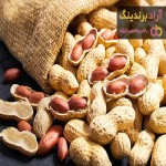 بادام زمینی | فروشندگان قیمت مناسب بادام زمینی