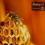 روش تولید عسل (Honey production method) + قیمت خرید عالی