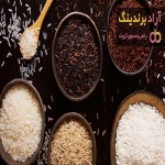 انواع برنج لنجان (Types of Lenjan rice ) + قیمت خرید عالی