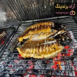 قیمت خرید ماهی قزل آلا کبابی + مشخصات، عمده ارزان