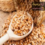 خرید گندم خوراکی | فروش انواع گندم خوراکی با قیمت مناسب