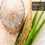قیمت برنج کشت دوم هاشمی + پخش تولیدی عمده کارخانه