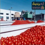 قیمت گوجه فرنگی در کارخانه روژین تاک کرمانشاه