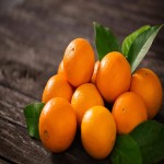پرتقال تامسون؛ فصل برداشت شهریور دارای آنتی اکسیدان ویتامین (C A)
