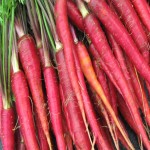 هویج قرمز رنگ؛ پوسته نرم خاصیت ضد التهابی سرطان بومی Europe